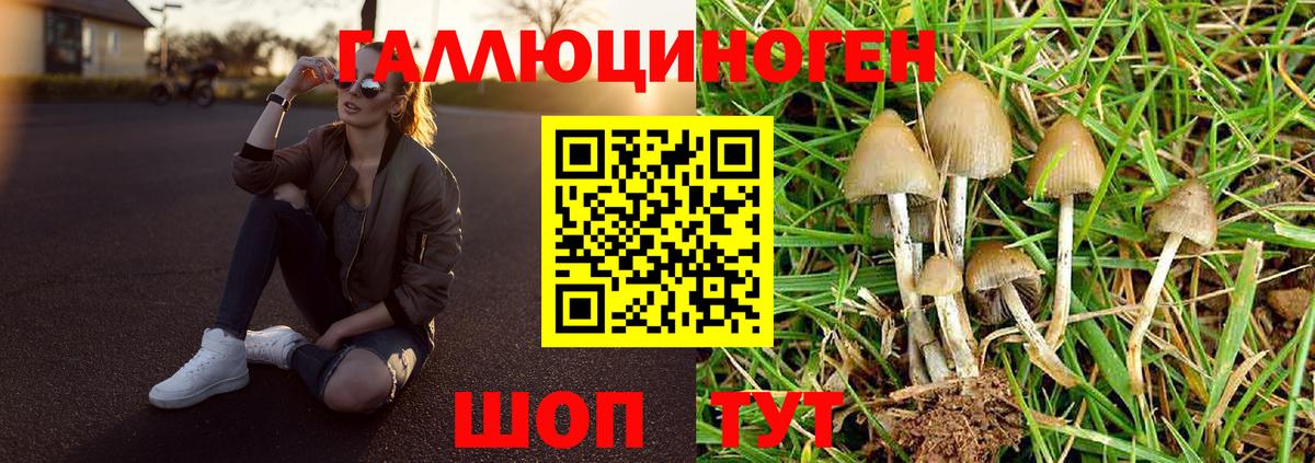 Псилоцибиновые грибы Magic Shrooms  Галлюциногенные грибы MAGIC MUSHROOMS  Вход с VPN  Губкин 
