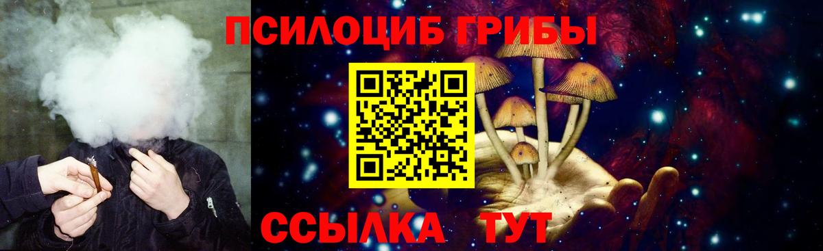 Псилоцибиновые грибы Magic Shrooms Губкин